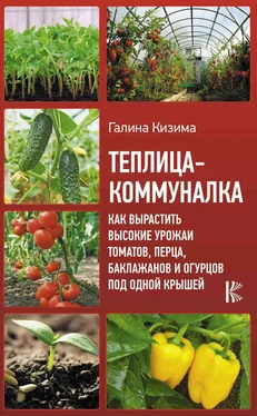 Галина Кизима Теплица-коммуналка. Как вырастить высокие урожаи томатов, перца, баклажанов и огурцов под одной крышей обложка книги