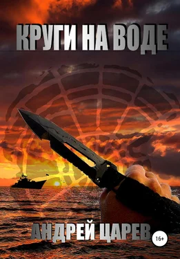 Андрей Царев Круги на воде обложка книги