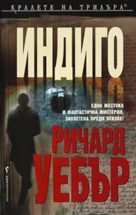 Ричард Уебър - Индиго