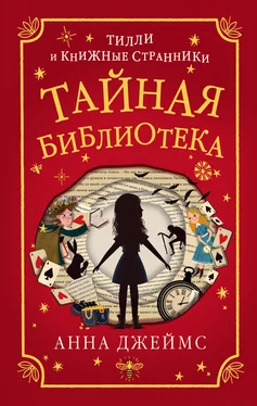 Анна Джеймс Тайная библиотека [litres] обложка книги