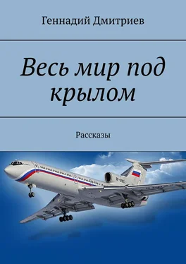 Геннадий Дмитриев Весь мир под крылом обложка книги