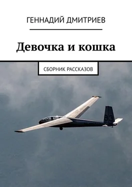 Геннадий Дмитриев Девочка и кошка обложка книги