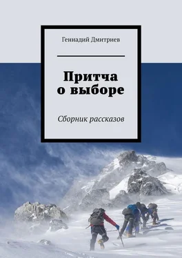 Геннадий Дмитриев Притча о выборе обложка книги