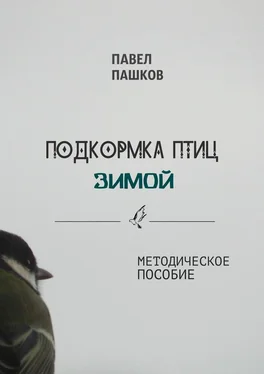 Павел Пашков Подкормка птиц зимой обложка книги