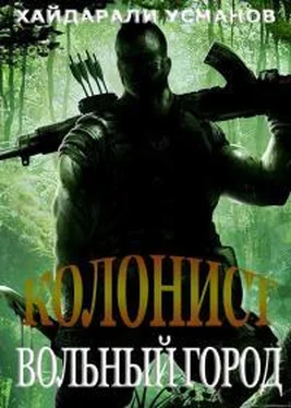 Хайдарали Усманов Вольный город обложка книги