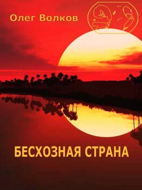 Олег Волков Бесхозная страна обложка книги