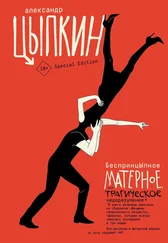 Александр Цыпкин - БеспринцЫпное матерное, или Трагическое недоразумение