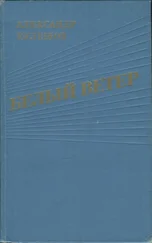 Александр Кулешов - Белый ветер