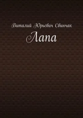 Виталий Свинчак - Лапа