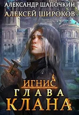 Александр Шапочкин Глава клана обложка книги