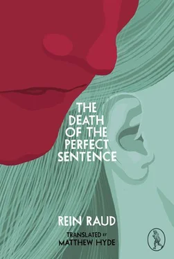 Rein Raud The Death of the Perfect Sentence обложка книги