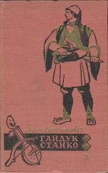 Янко Веселинович - Гайдук Станко