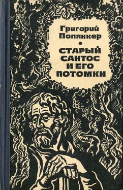 Григорий Полянкер Старый Сантос и его потомки обложка книги