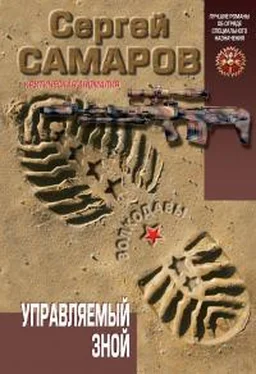 Сергей Самаров Управляемый зной обложка книги