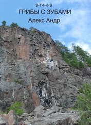 Алекс Андр - Грибы с зубами. S-T-I-K-S