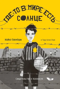 Тодд Хазак-Лоуи Где-то в мире есть солнце. Свидетельство о Холокосте обложка книги