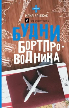 Илья Брижак Будни бортпроводника обложка книги