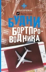 Илья Брижак - Будни бортпроводника