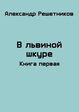 Александр Решетников В львиной шкуре [СИ] обложка книги
