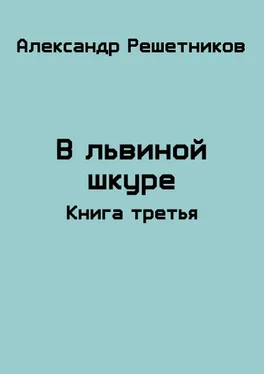 Александр Решетников В львиной шкуре. Продолжение-2 [СИ] обложка книги