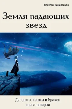 Алексей Даниленков Земля падающих звезд