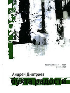 Андрей Дмитриев Бухта Радости обложка книги