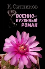 Кирилл Ситников - Военно-кухонный роман
