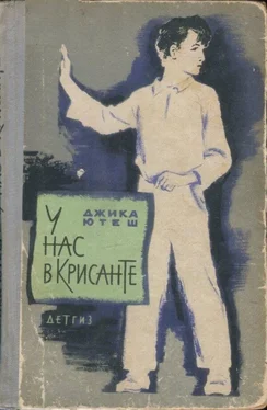Джика Ютеш У нас в Крисанте обложка книги