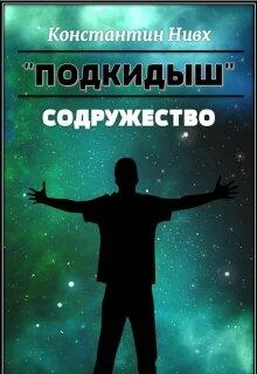 Константин Нивх Содружество [СИ] обложка книги