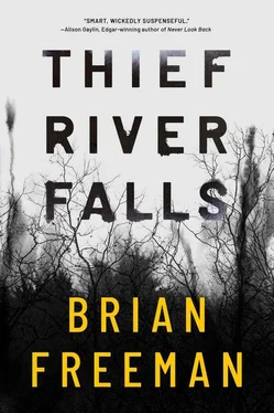 Brian Freeman Thief River Falls обложка книги