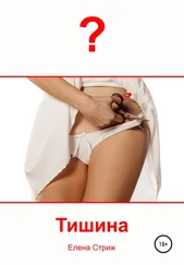 Елена Стриж - Тишина