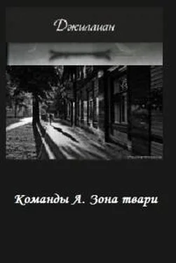 Джиллиан Команды А. Зона твари (СИ) обложка книги