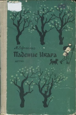 Мария Сергеенко Падение Икара обложка книги