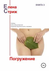 Елена Стриж - Погружение [сборник]