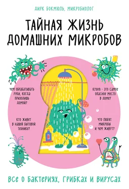 Дирк Бокмюль Тайная жизнь домашних микробов: все о бактериях, грибках и вирусах обложка книги