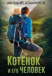 Михаил Атаманов - Котёнок и его человек (СИ)