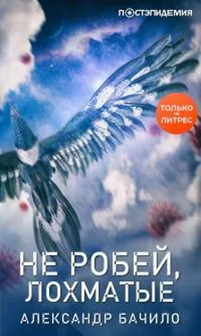 Александр Бачило Не робей, лохматые! [рассказ] [СИ litres] обложка книги