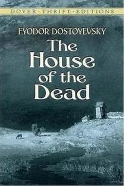 Федор Достоевский The House of the Dead обложка книги