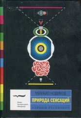 Михаил Новиков - Природа сенсаций