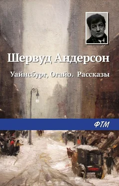 Шервуд Андерсон Уайнсбург, Огайо. Рассказы [сборник litres] обложка книги