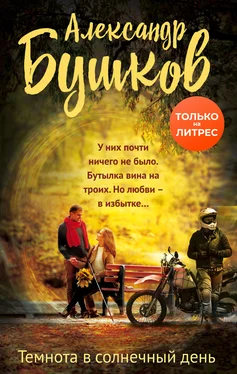 Александр Бушков Темнота в солнечный день обложка книги