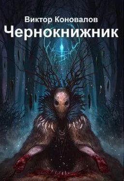 Виктор Коновалов Чернокнижник [СИ] обложка книги