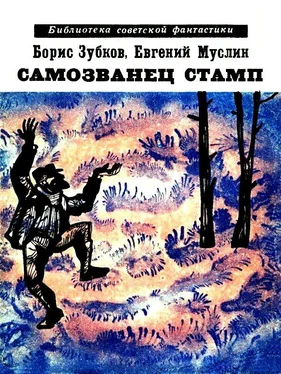 Борис Зубков Самозванец Стамп. Рассказы обложка книги