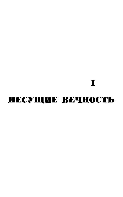 I НЕСУЩИЕ ВЕЧНОСТЬ НЕСУЩИЕ ВЕЧНОСТЬ Сейчас все что рядом со мной чисто и - фото 2