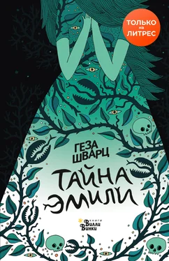 Геза Шварц Тайна Эмили [litres] обложка книги