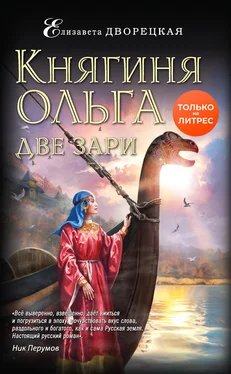 Елизавета Дворецкая Две зари [litres] обложка книги