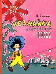 Николай Носов - Незнайка в Солнечном городе. Роман-сказка