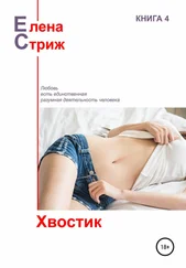 Елена Стриж - Хвостик [сборник]