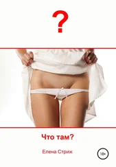 Елена Стриж - Что там?