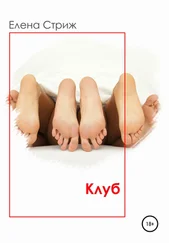 Елена Стриж - Клуб